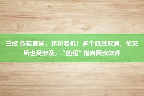 三级 微软蓝屏，环球宕机！多个航班取消，伦交所也受涉及，“凶犯”指向网安软件