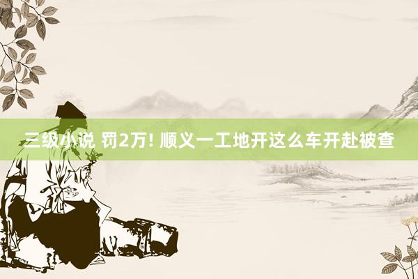 三级小说 罚2万! 顺义一工地开这么车开赴被查