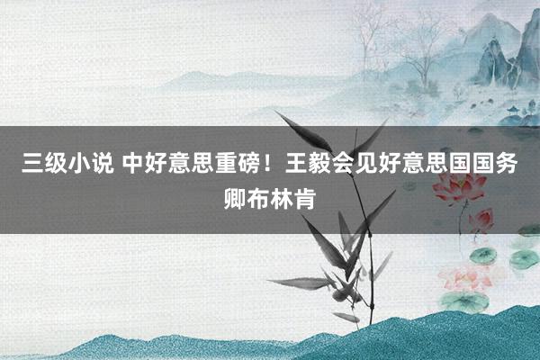 三级小说 中好意思重磅！王毅会见好意思国国务卿布林肯