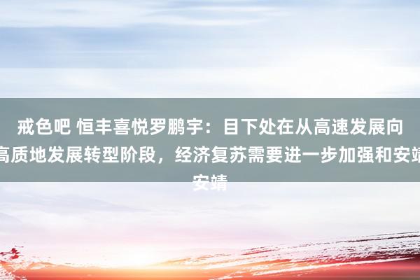 戒色吧 恒丰喜悦罗鹏宇：目下处在从高速发展向高质地发展转型阶段，经济复苏需要进一步加强和安靖