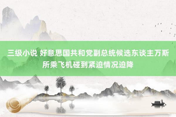 三级小说 好意思国共和党副总统候选东谈主万斯所乘飞机碰到紧迫情况迫降
