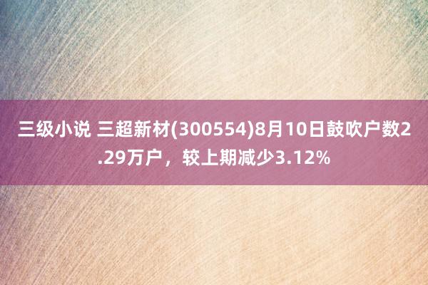三级小说 三超新材(300554)8月10日鼓吹户数2.29万户，较上期减少3.12%