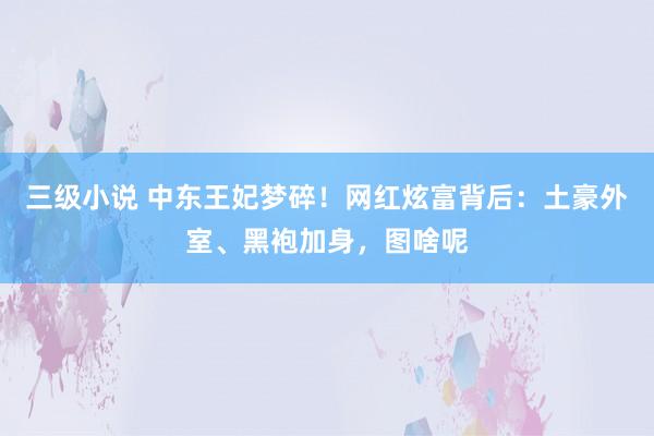 三级小说 中东王妃梦碎！网红炫富背后：土豪外室、黑袍加身，图啥呢