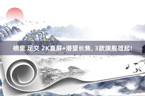 楠里 足交 2K直屏+潜望长焦, 3款旗舰雄起!