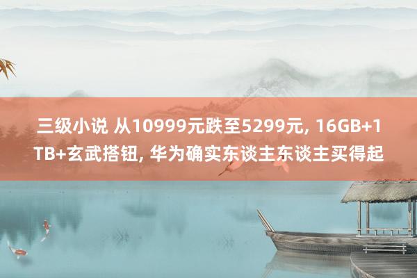 三级小说 从10999元跌至5299元, 16GB+1TB+玄武搭钮, 华为确实东谈主东谈主买得起